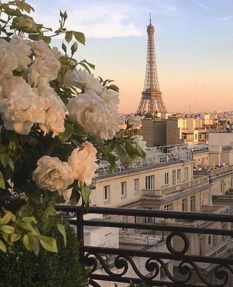 Paris dreaming 💭💕✨