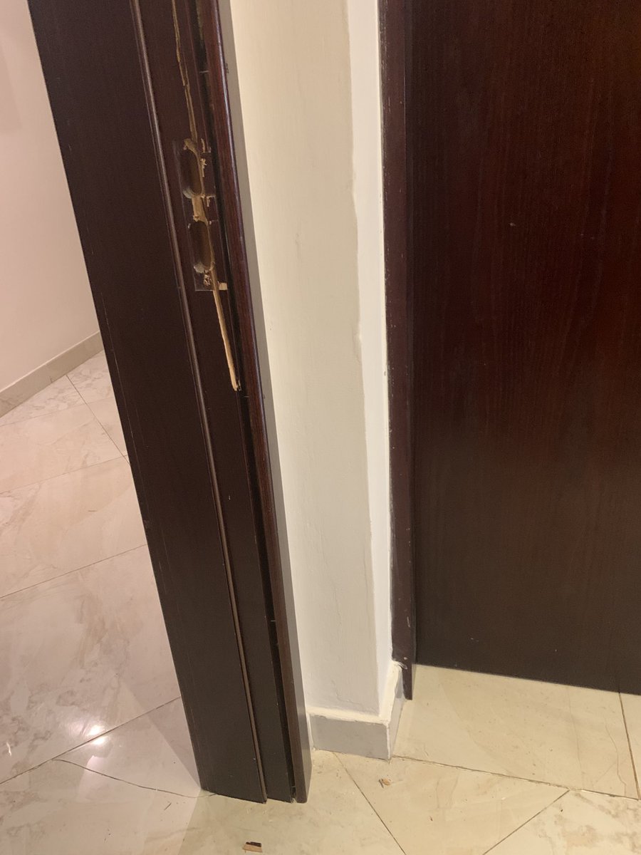 Matata Ponyo Mapon tweet media