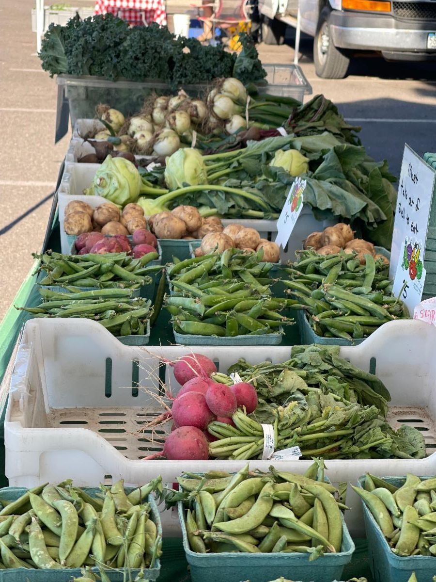 Crystal Recreation tweet media