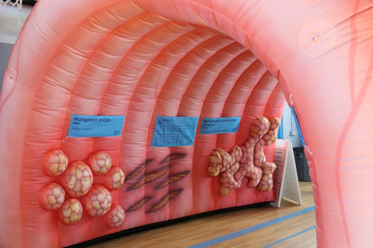 Colin the Colon has a twin in southern Nevada, we're looking for volunteers to join us for the Aug. 21 Dragon Boat Race, and there's still time to register for the Nevada Cancer Control Summit. Get the details and more in our August news: conta.cc/3A9zGZB