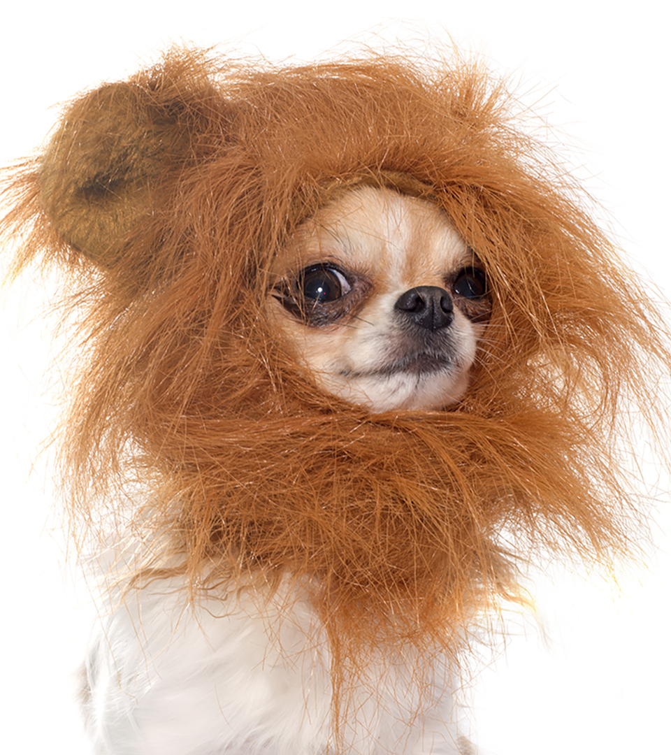 funnyordie's tweet image. covid when you're unvaccinated vs covid when you're vaccinated