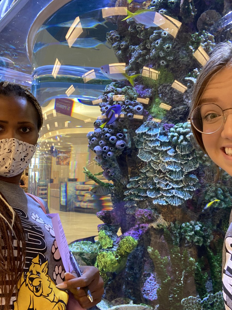 Amanda Lockhart tweet media