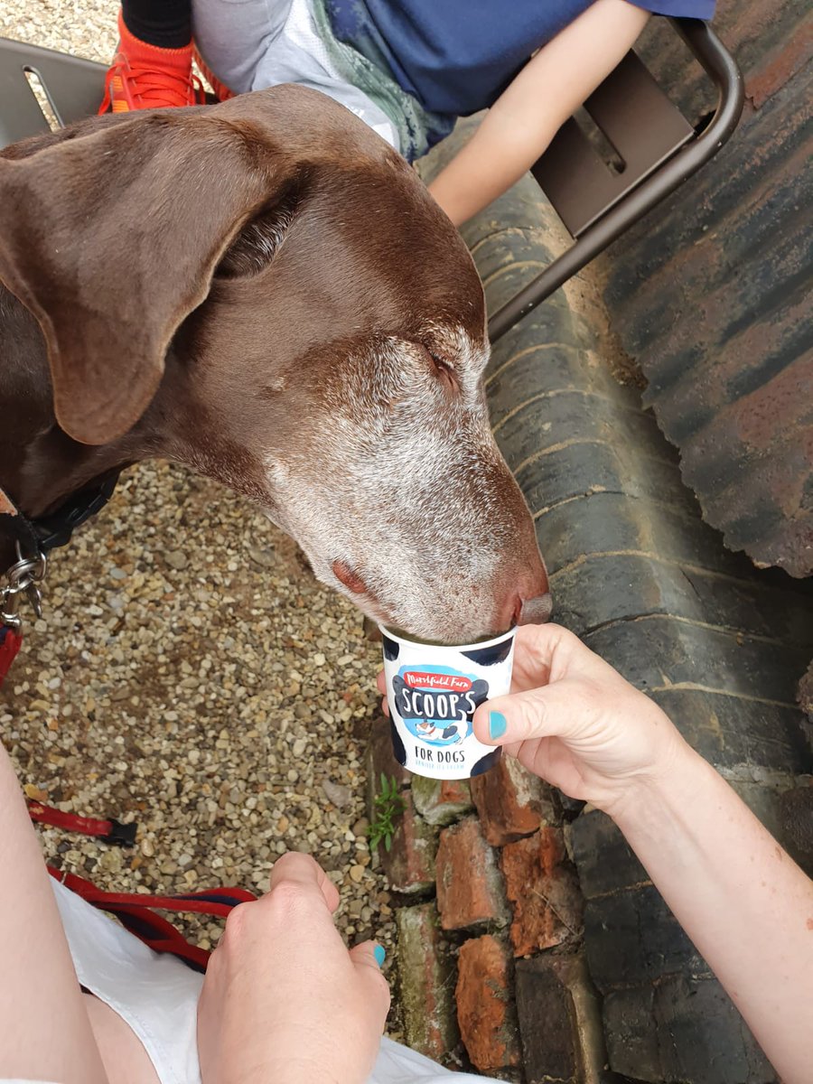 Ann-Marie holliday (@an_holliday) on Twitter photo day 2 #yoga <a href="/LothertonHall/">Lotherton</a> day 3 #hiit #IceCream @BeltonHouseNT #AHPsActive #WeActiveChallenge day 2 #yoga <a href="/LothertonHall/">Lotherton</a> day 3 #hiit #IceCream @BeltonHouseNT #AHPsActive #WeActiveChallenge