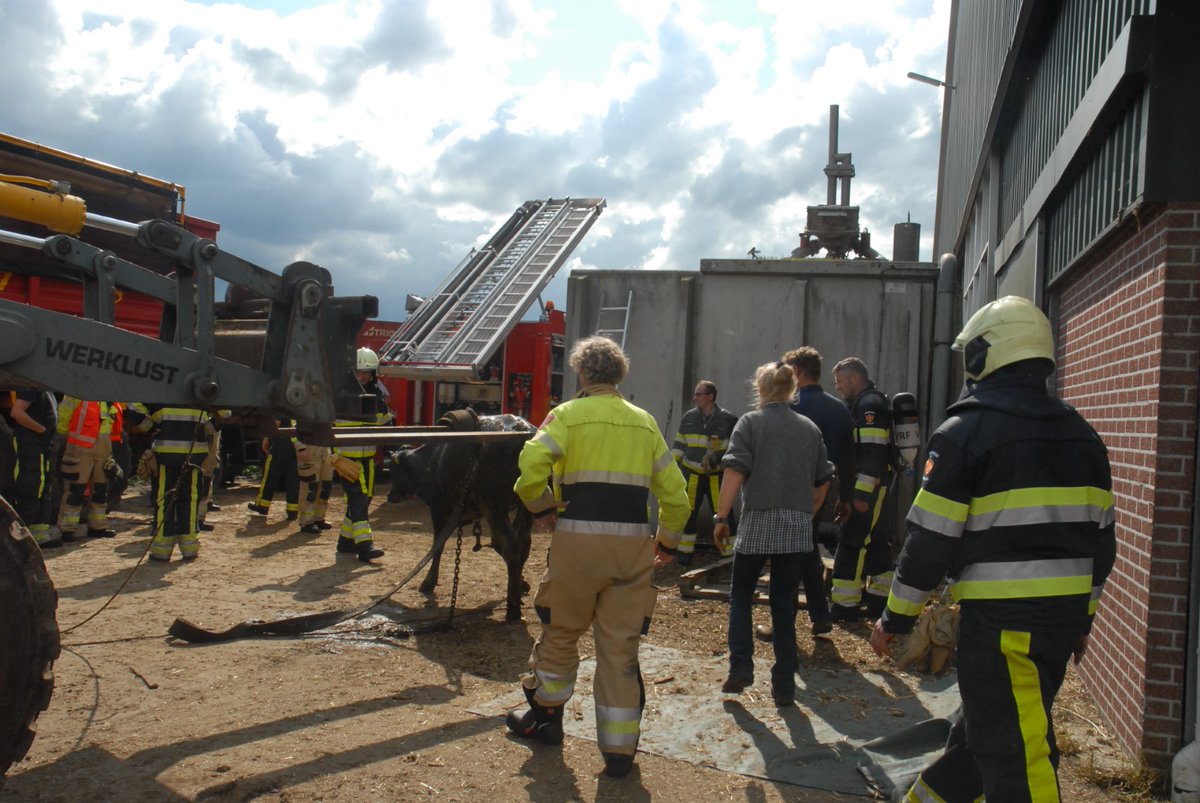 Pink belandt in mestput en wordt bevrijd door brandweer. #InfoLeek.