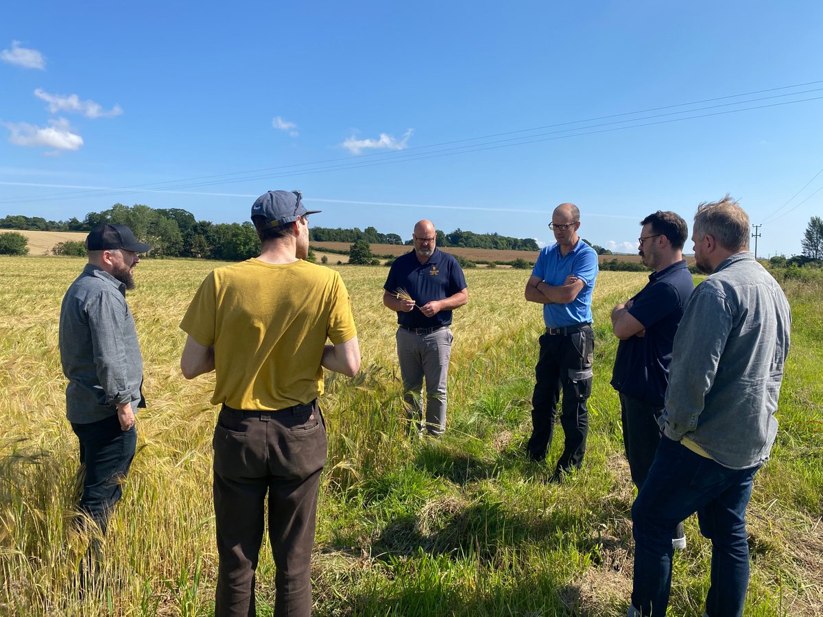 Simpsons Malt Ltd. tweet media