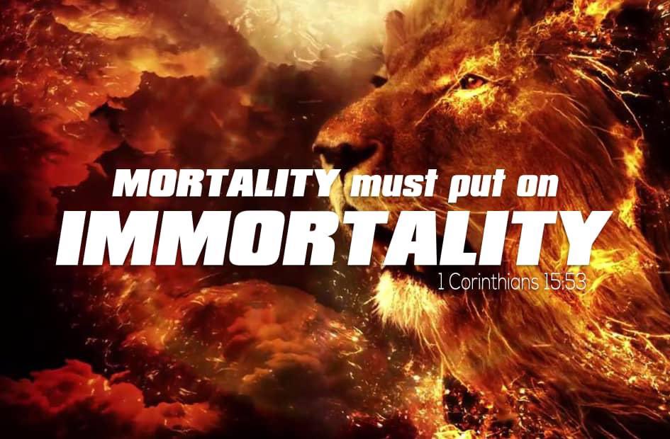 GGFC_RC's tweet photo. For this corruptible must put on incorruption, and this mortal must put on immortality. https://t.co/lt6G55Qq1o
