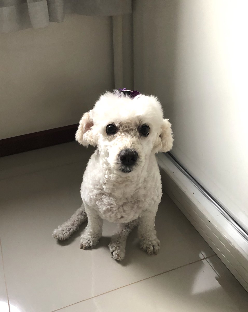 thyvgo's tweet image. te amo minha ratinha que amava fazer essa carinha de quem tava tirando 3x4 💕