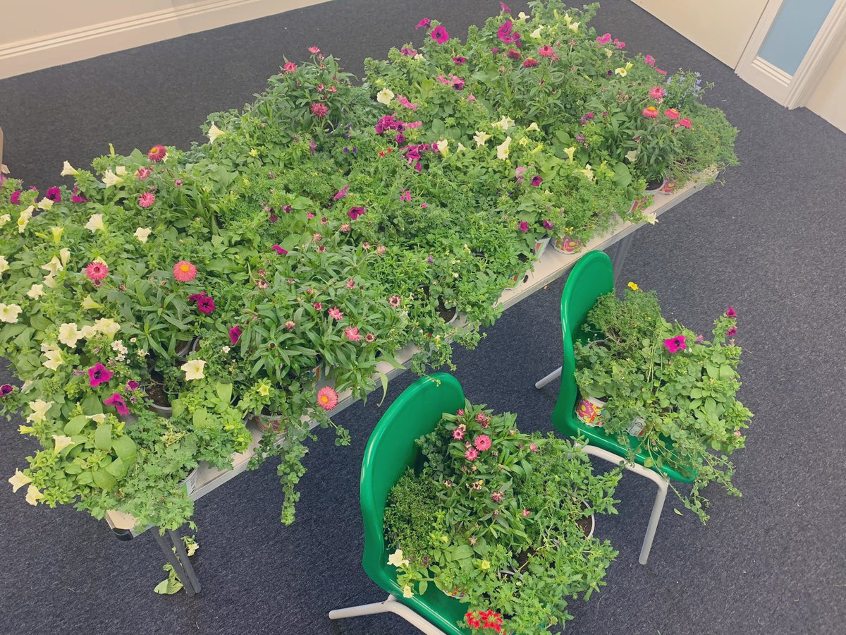 HISLauraF tweet media