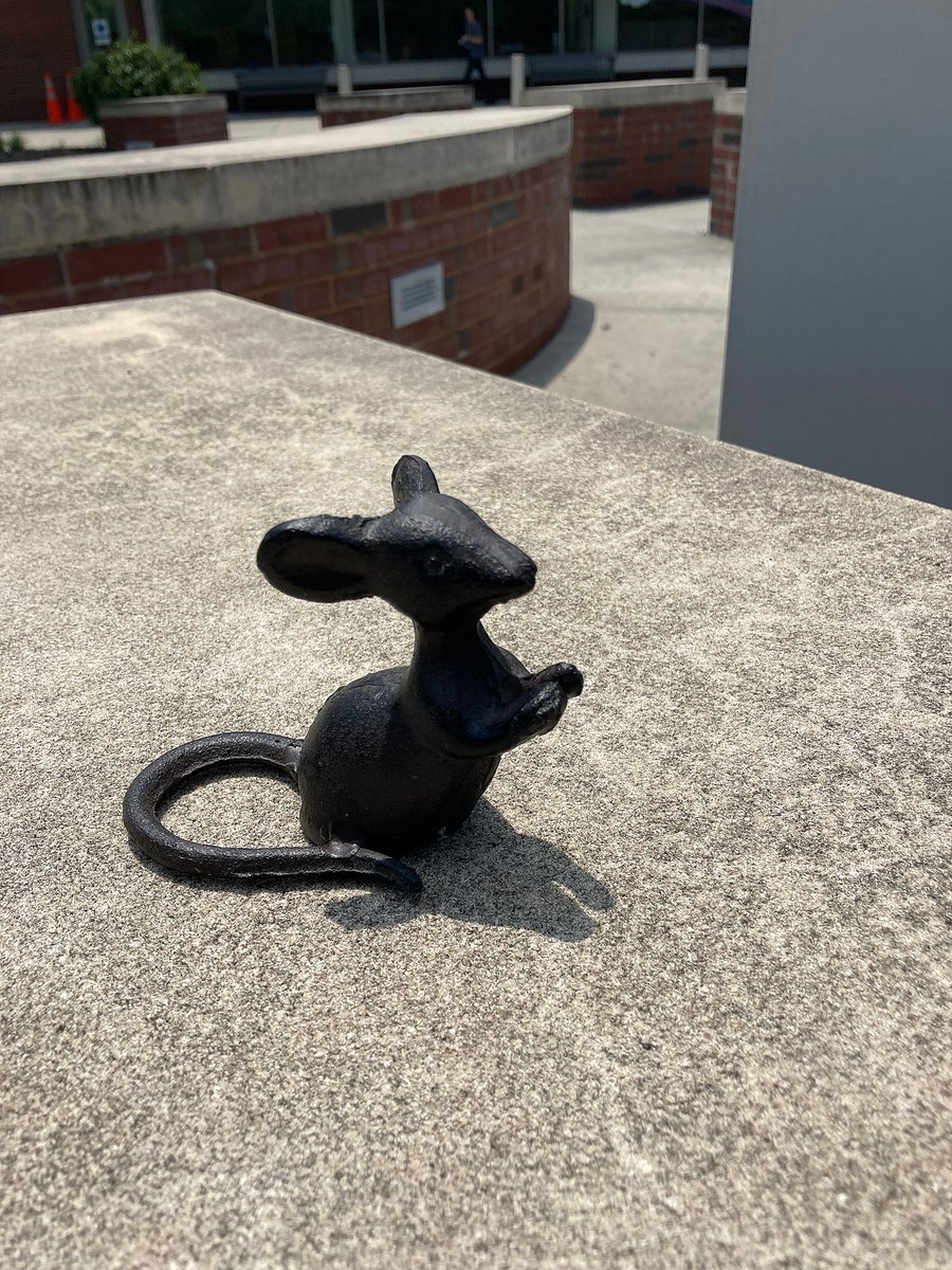 chpublib's tweet photo. We seem to have a library art fairy leaving us treasures!
#LibraryLife #LibraryMouse #WhenPigsFly #Lizard #LibraryTreasures https://t.co/hUasJePF3c