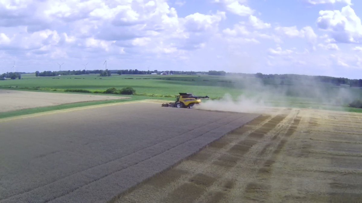 dspencer307's tweet photo. Great day to be taking the #Kerwood #plot21 #wheat off!  @ParrishHeimbeck @DeltaPowerEquip @delta_demo @WheatTeam_Tim https://t.co/I28DrYSHHm