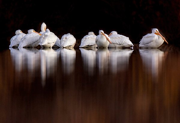 New artwork for sale! - "Calm morning." - fineartamerica.com/featured/calm-… <a href="/fineartamerica/">Fine Art America</a>