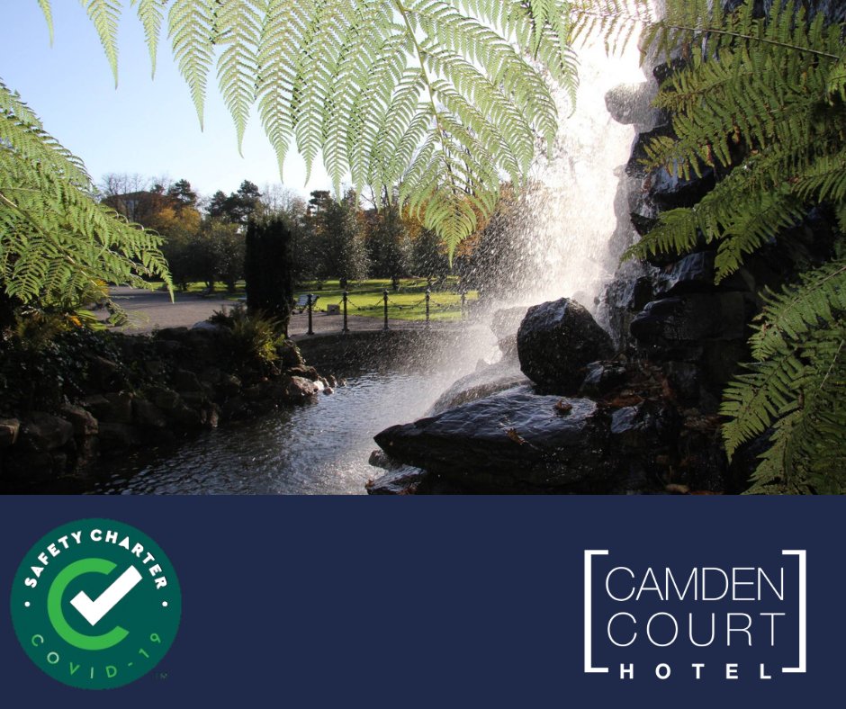 CamdenCourt's tweet photo. If you're looking for something to do while staying in Dublin, why not visit the gorgeous Iveagh Gardens.
Tucked away behind the National Concert Hall, the Iveagh Gardens are among the finest, but least known, of Dublin's parks and gardens. 🌺
#CamdenCourtHotel #LoveDublin https://t.co/5IfFI2C53C
