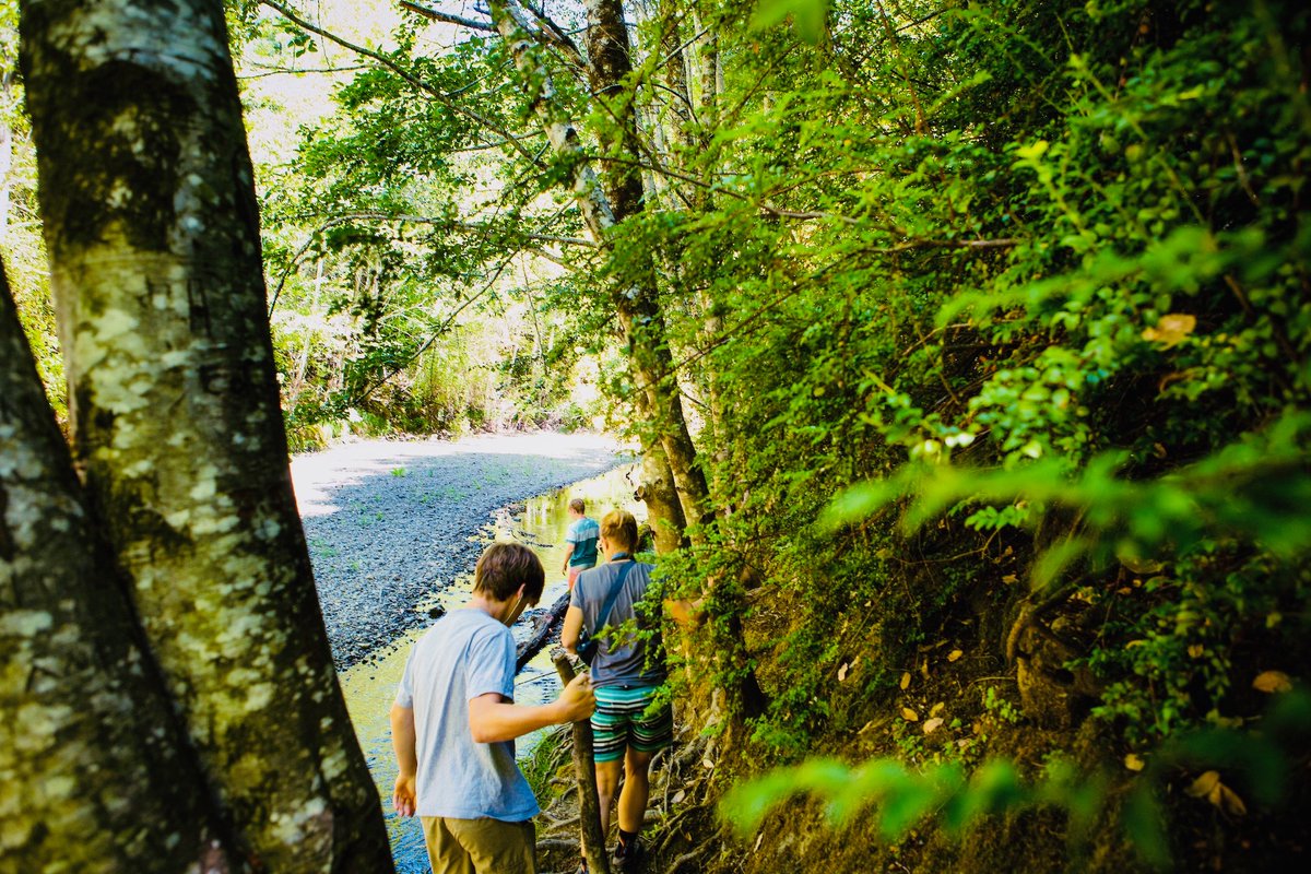sonomamag's tweet photo. Many of Sonoma County's hiking trails end conveniently close to winery tasting rooms. Take a hike then sip some wine at these local wineries: https://t.co/6l09sNNAtG #winelovers #winecountry https://t.co/8XV0MF48dl