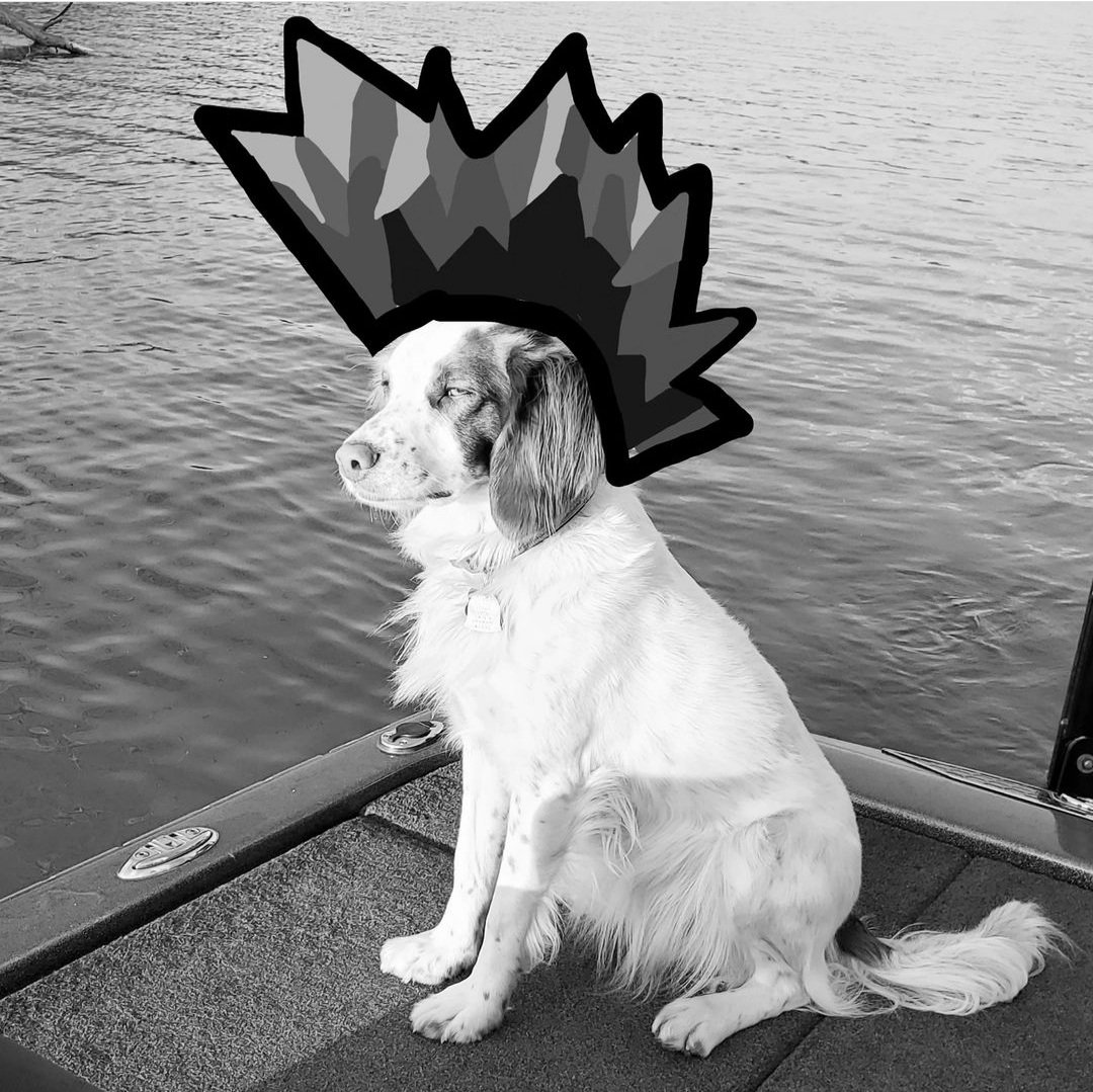 GreenleeDonna's tweet image. Miss Daisy is super excited about #CRAWLorDIE2 
#TANKarmy