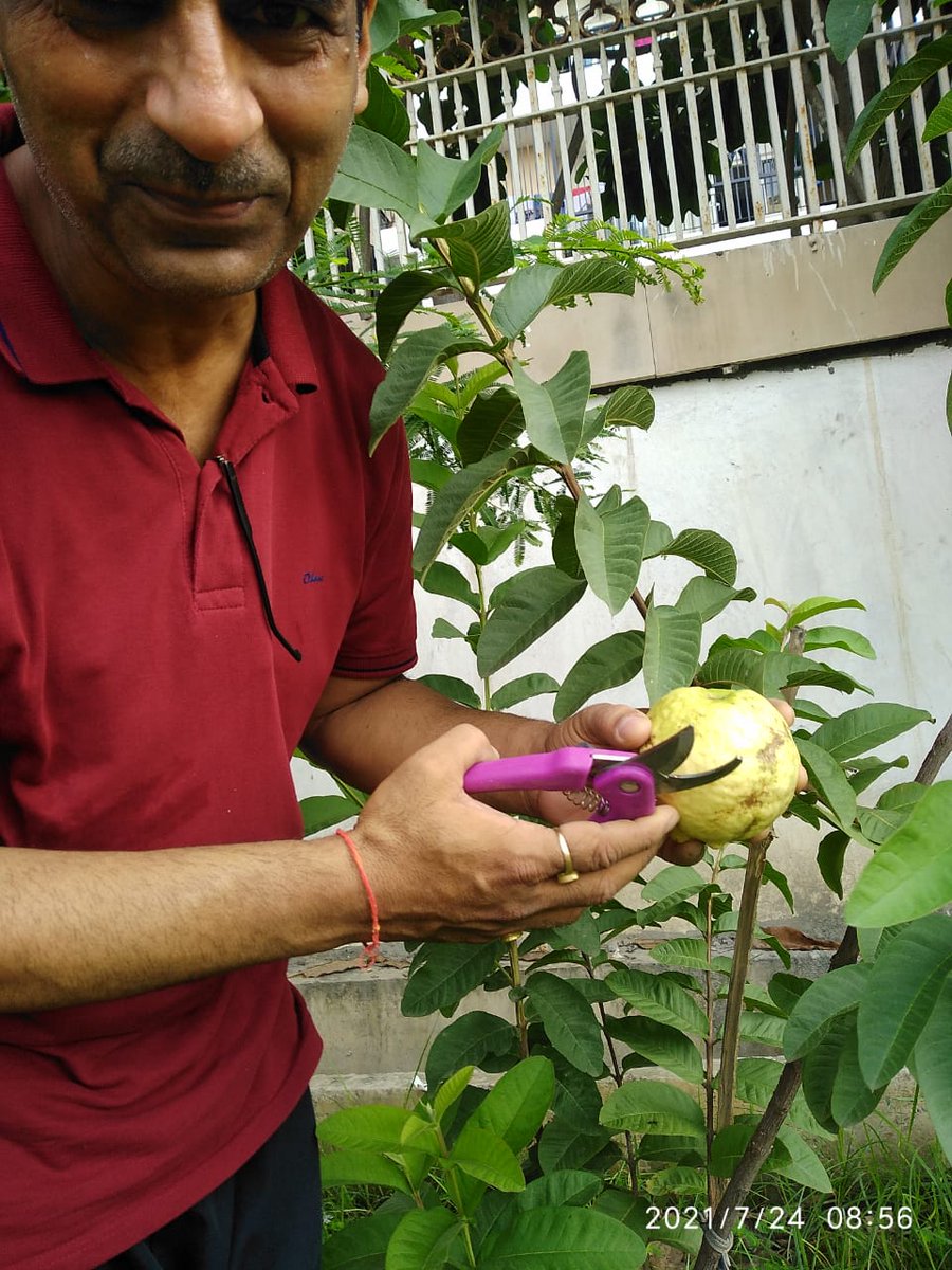 AceCtyResidents's tweet image. हम @AceResidents पर्यावरण के लिए पेड़-पौधों की उपयोगिता भली भांति समझते हैं इसलिए पिछले वर्ष &quot;आपरेशन ग्रीन टीम&quot; का गठन करके ऐस सिटी पीछे कूड़े-कचरे से भरी 400 मी. लंबी पटरी को पेड़-पौधे लगाकर ग्रीन बेल्ट में परिवर्तित कर दिया और एक वर्ष से उसका संरक्षण कर रहे हैं। @nbhooshan