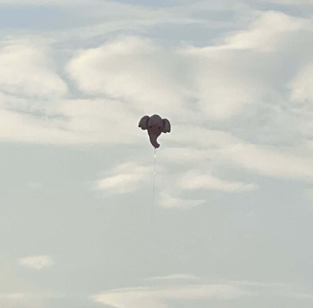 Неудачный день у кого-то однако. 
Понимаю.