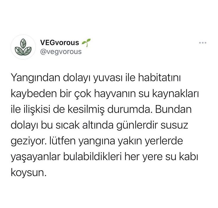 ozzy_76's tweet photo. @ismailsaymaz @hayvanbilgiIeri @datcabelediyesi @marmarisbeltr @BodrumBel @ekrem_imamoglu @mansuryavas06 https://t.co/CHvkgLAmDq