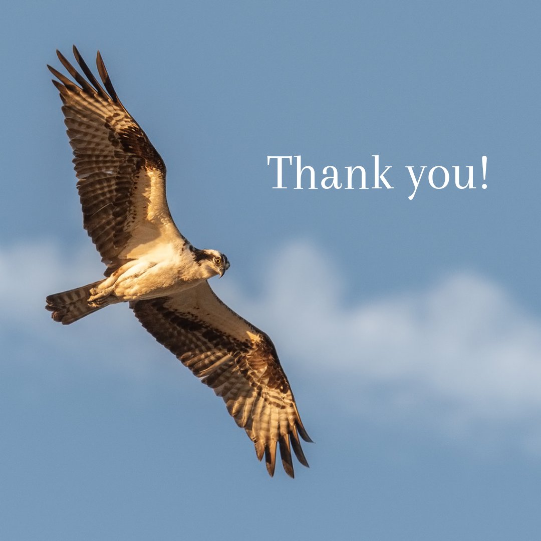 THANK YOU to all who attended HMANA's 2020 Virtual Conference! 
This year's conference was a great success and it is thanks to many people who made it possible! 

🦅 Big thank you to our conference speakers and moderators, and to our sponsors and partner organizations!