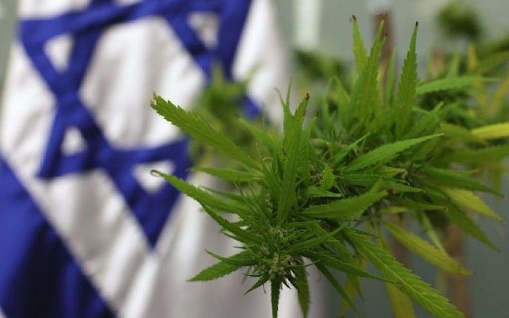 “A new published clinical study out of Israel offers scientific evidence that the therapeutic use of cannabis can be a safe and effective treatment for elderly people, and is often a factor leading to the decreased use of other drugs."
.
.
🌱 💚 buff.ly/3kNi95p