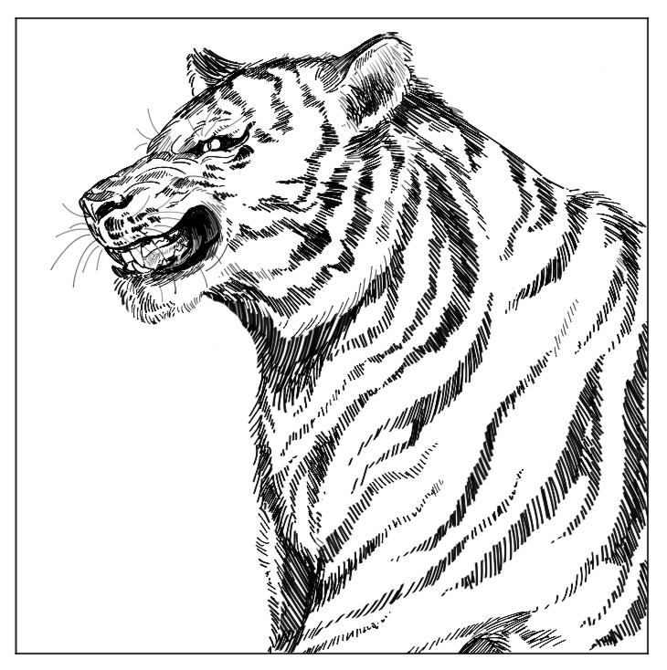 フリーーートに上げた虎をこっちにも上げる行いです🐯 