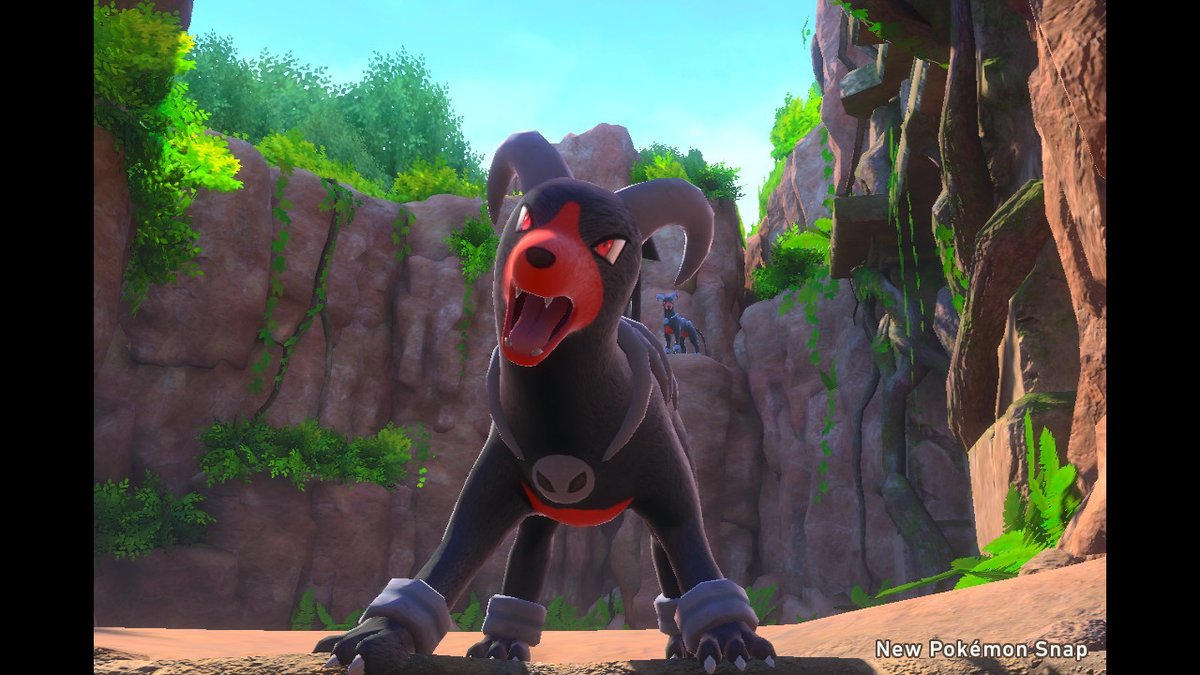 ｼｶﾞﾄﾞﾗｲﾝ趣 ヘルガーをモデルにして擬似的に小さくなる視点の撮影練習してた Newポケモンスナップ Newpokemonsnap Nintendoswitch