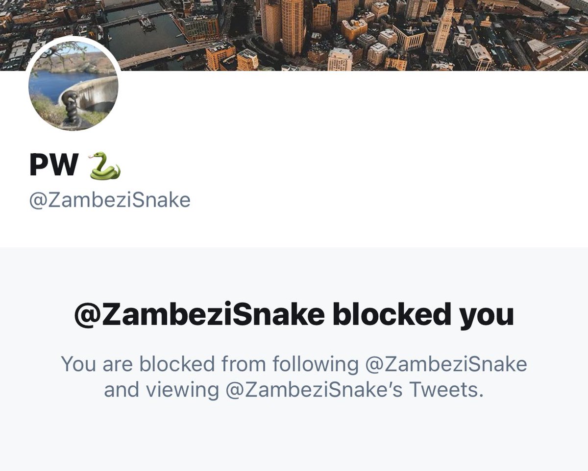 @ZambeziSnake Aww. Little man wants to throw hands and then block this #americanfemale
