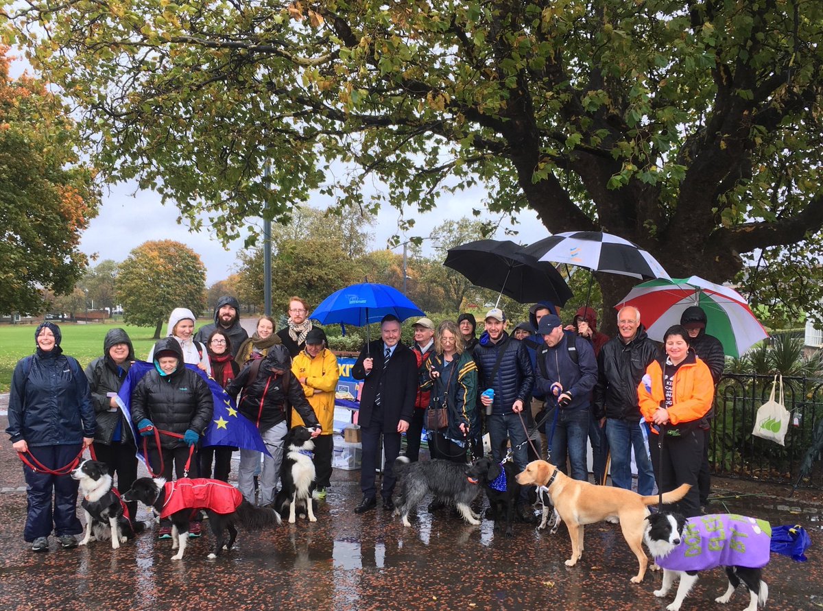 GlasgowEurope's tweet photo. Torrential rain did not distract our four legged friends from their cause! They were determined to #Pawsbrexit
#DogsofTwittter https://t.co/MGqv0OSBBT