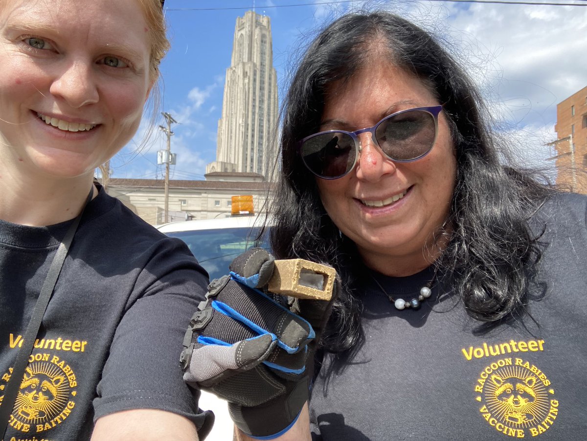 Everyone needs to be vaccinated…including the raccoons!  Leah Pope (Epi MPH grad) and I are protecting the City of Pittsburgh residents from rabies!  First stop was Oakland. #rabies <a href="/PittPubHealth/">Pitt Public Health</a> <a href="/HealthAllegheny/">Allegheny County Health Department</a>