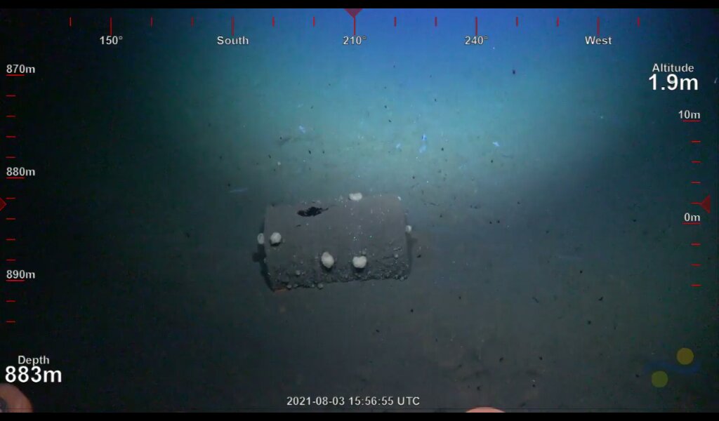 Dive 150- DDT Dump Site North. #SuBastianDives #BiodiverseBorderlands #BiodiverseSCB