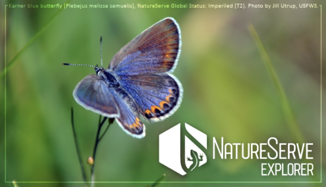 NatureServe على تويتر "Have you checked out NatureServe Explorer?! You