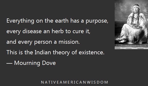 tribalposts's tweet image. #NativeAmerican #wisdom #quotes