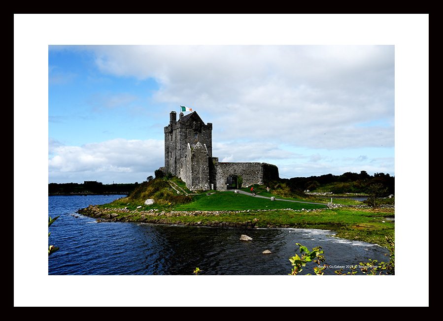 TERRY O'BRIEN tweet media