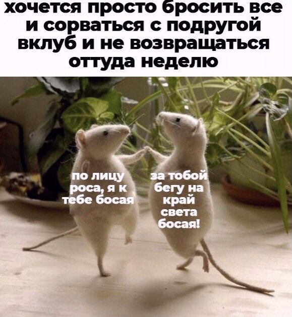 18.12.na tweet media