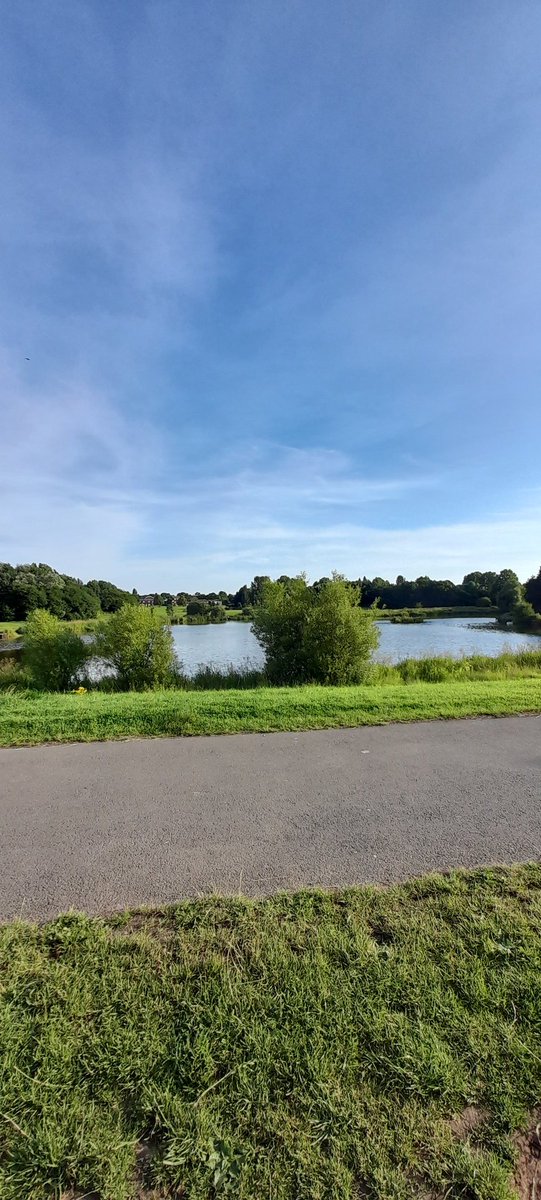 #AHPsactive Getting our walk done on this lovely evening and taking a moment to appreciate the view. 💕