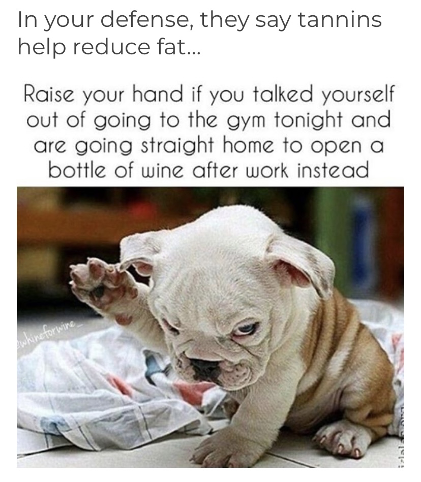 Wine 🍷 is just fruit 🍉 juice 🥤 if you think 🤔 about it 😂🤷🏻‍♀️