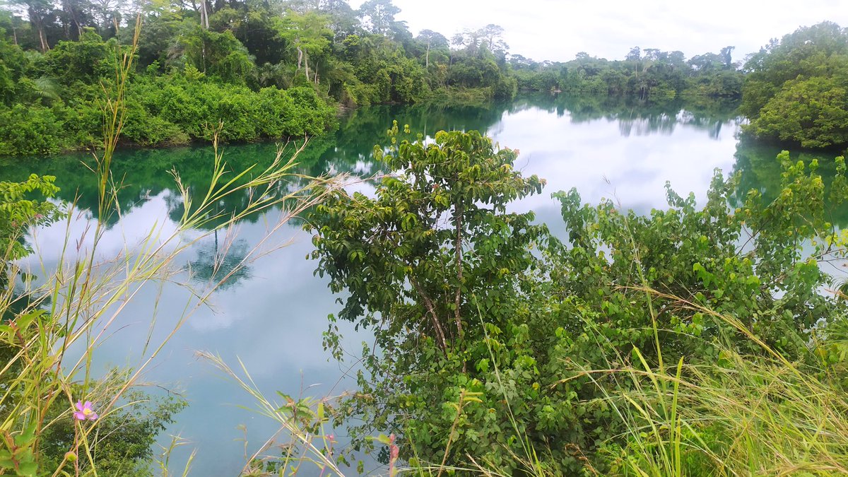 MrBanoufe's tweet photo. Lac Bleu de Mouila, un lieu emblématique chargé d’histoire et d’énergie...
#MrBanoufe #Travel #Gabon #World #GBP https://t.co/xiS4Gbn3f7