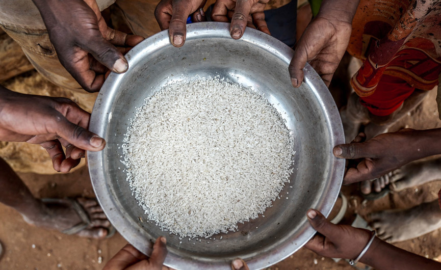 Insécurité alimentaire - 17 pays africains en alerte: fr.allafrica.com/stories/202108… #Afrique