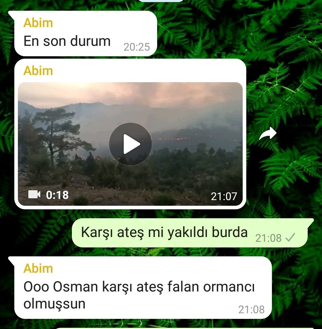 Memleket bizi her konuda uzman yaptı aile grubunda satıyorum bilgileri