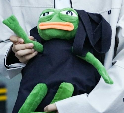 thyxnnluvr's tweet image. Pepe, te quieren atrasar. 

Defiende tus derechos como el muñeco oficial de Oneus 

@official_ONEUS #ONEUS #SEOHO #BURKY