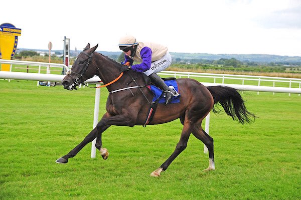 PimlicoRacing's tweet photo. 🥇Winner🥇

Absolutely delighted to see Alice Avril break her maiden over fences @RoscommonRaces this evening for us and @HenrydeBromhead 

Fantastic to hear her getting such a big roar from her enthusiastic owners who were present!! 
Well done to everyone in her syndicate. https://t.co/OMT2XZ71Em