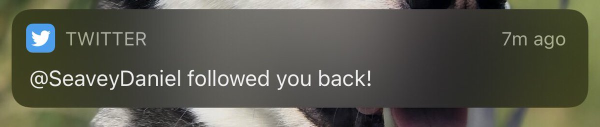 luvindjs's tweet image. I LOVE YOU SM &amp;lt;33 hope to talk to you again soon @SeaveyDaniel