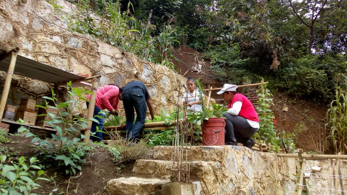 JovConFuturo's tweet photo. .@Kolijke es un #CentroDeTrabajo de educación y conservación ambiental.
En él nuestr@s #JóvenesConstruyendoElFuturo han aprendido técnicas agroecológicas.
Desde #Puebla Eduardo García, #MentorDeLaNación nos comparte sus actividades.
 #ContactoMentor https://t.co/wkXzd1yiDm