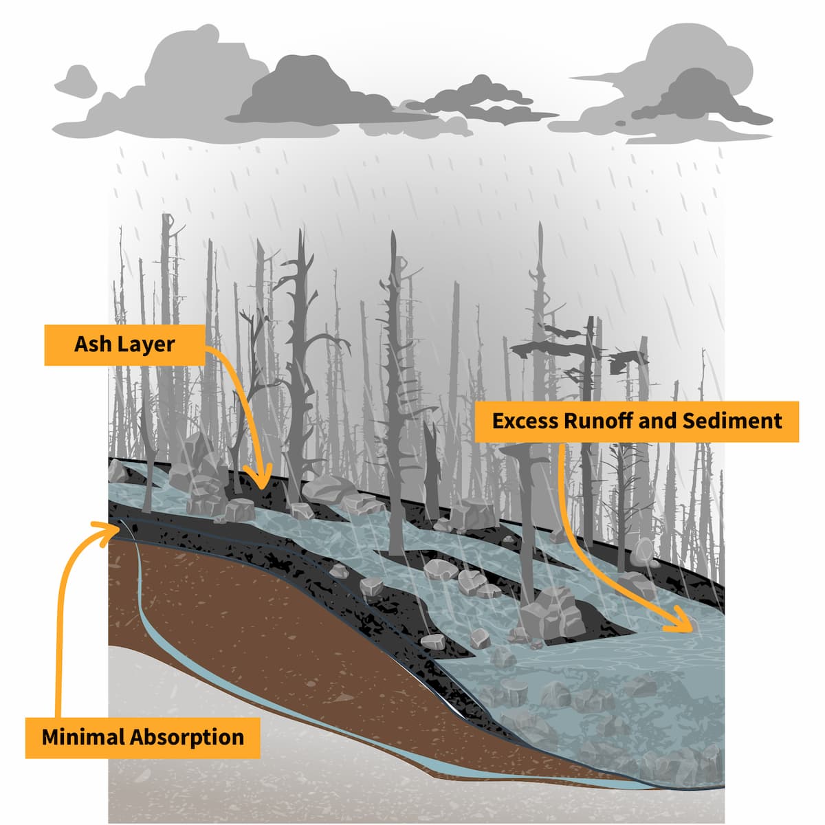 USGS_DataSci's tweet photo. After a wildfire burns through a landscape, much of the rainfall does not soak into the soil, but instead moves over the surface rapidly as runoff.  Heavy rains can lead to destructive debris flows. #I70 

From:  https://t.co/rV5A85sq7e    

BEFORE wildfire   🆚  AFTER wildfire https://t.co/IhOK2DaYYD