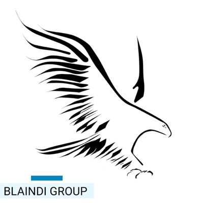 BLAINDI GROUP (@blaindigroup) on Twitter photo 