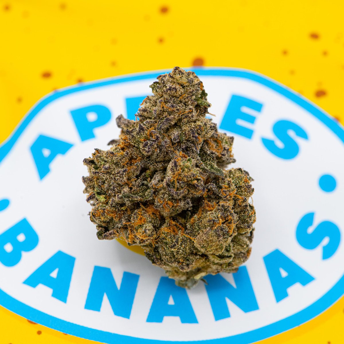 Apples &amp; Bananas 🍏🍌 testing at 27.6% THC 💨