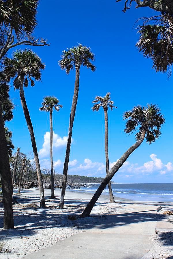 JudyVincent74's tweet image. Winter Retreat by Carol McGrath buff.ly/37hhOzF #beach #summer #HuntingIsland #ocean #nature #photography Quality Fine #Art #Prints and #Products for #Sale