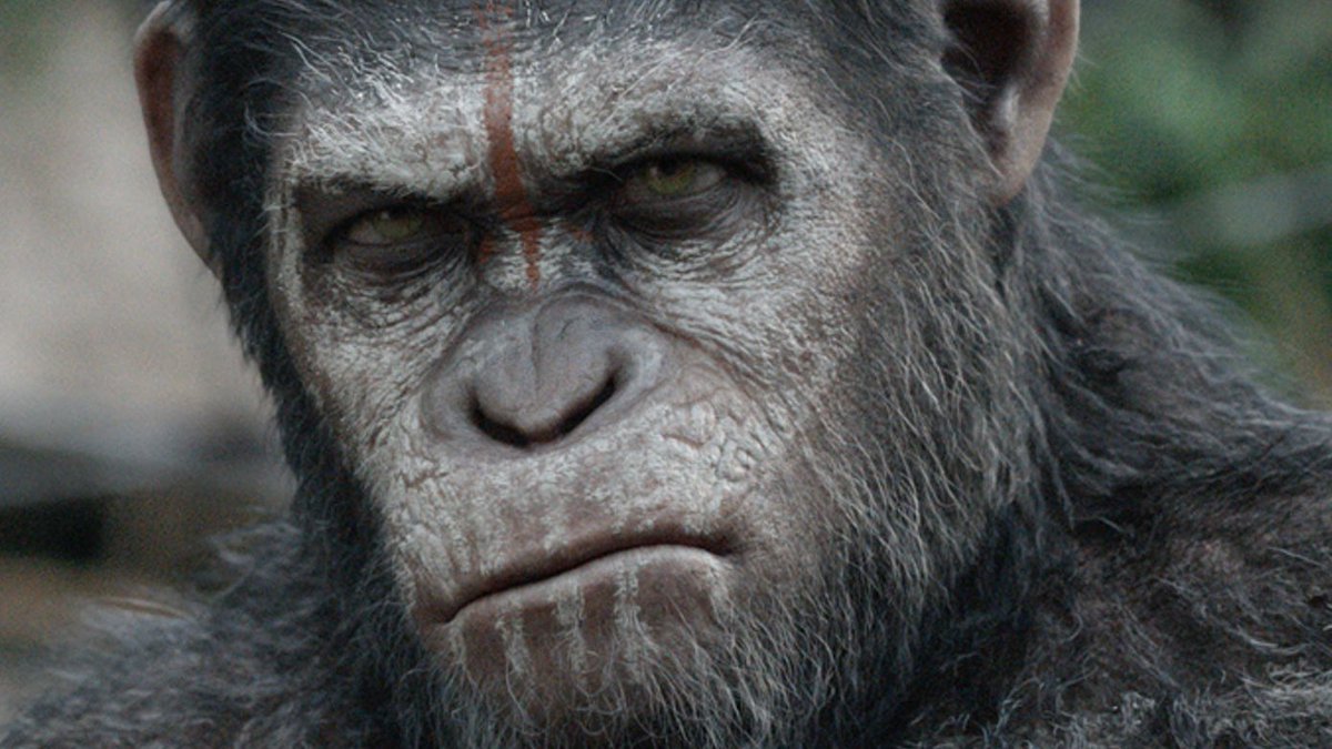 планета обезьян 2022. планета обезьян: война фильм 2017. планета обезьян 1986. планета обезьян: война фильм 2017. планета обезьян 4 царство.