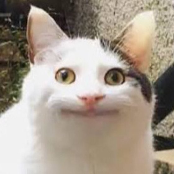 コスプレイヤーまるすけのTwitter画像10