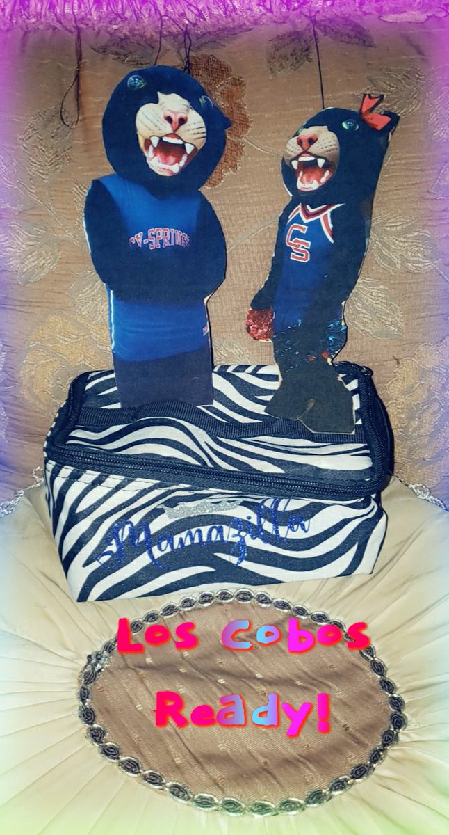 DCB_4466's tweet photo. Ramona & Rudy thought they were going to Los Cobos. Lol next time buddies! ❤🤍💙
#AllPacked
#Ready2Go
#AllDayEveryDay
#FreshZebraPrintSuitcase
@2015CSPrincipal @Dr_PWilliamsJ @DianaCBell2 https://t.co/bl6UrAH3IX