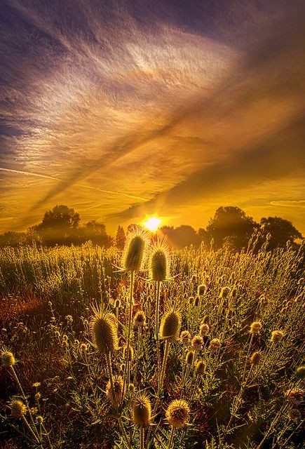 주 (@scjsdo) on Twitter photo 